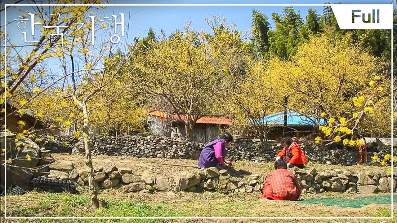[Full] 한국기행 - 남도 꽃길을 가다 2부 산수유 마을에 봄이오면 20150421