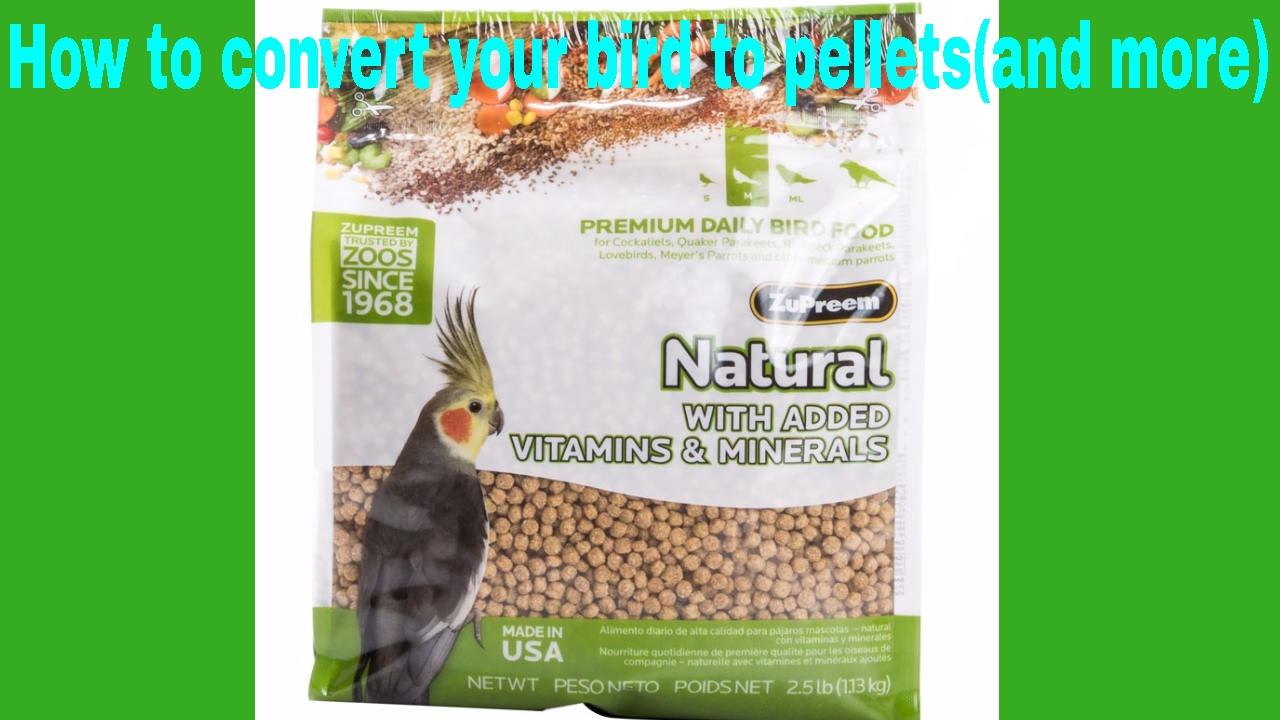 (HOW TO) Convert your pet bird to pellets, And More!