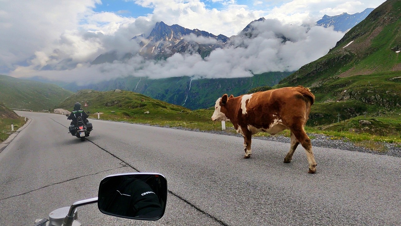 NRW on Tour - Austria Swiss Tour 2024 - Motorrad-Tour durch die Alpen mit Suchtcharakter - DER FILM
