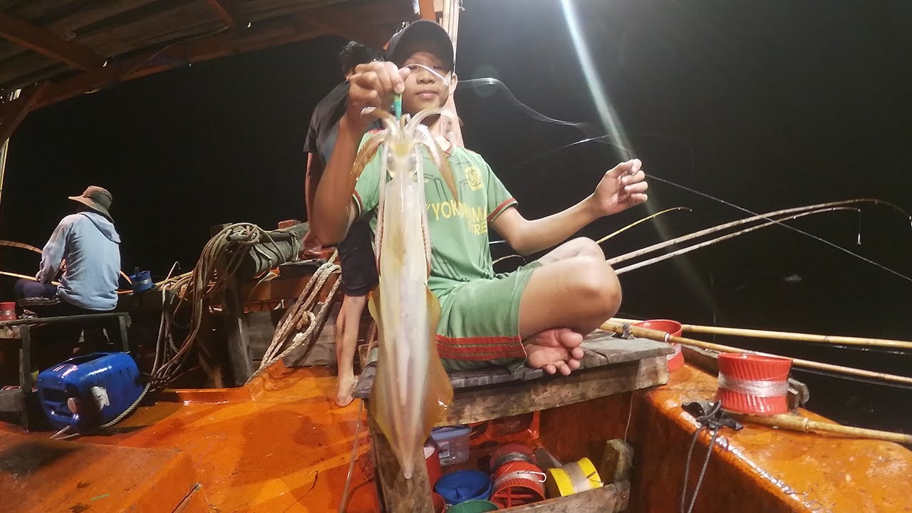 CÂU MỰC CÔN ĐẢO - Chuyến Câu Mực Lớn P5 |Câu Mực Biển Tây #50