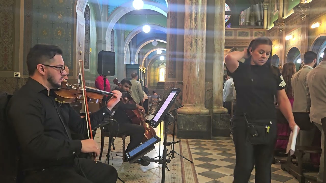 Cheiro de Rosas - instrumental piano violino e violoncelo 🎻🎻🎹🎶💍