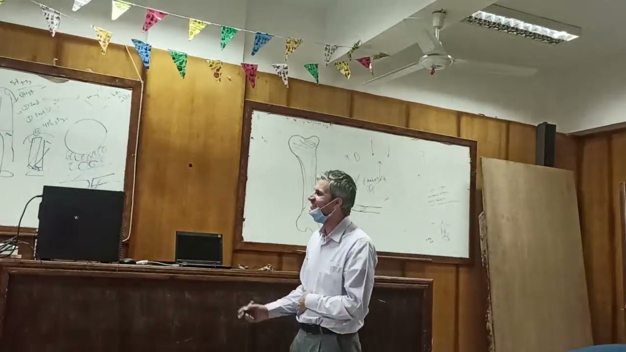 cervical spine biomechanics