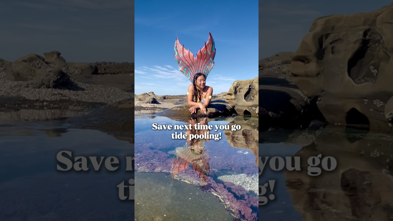 “DEAR HUMANS: San Diego Mermaids Explain Tide Pool Etiquette During King Tides” 