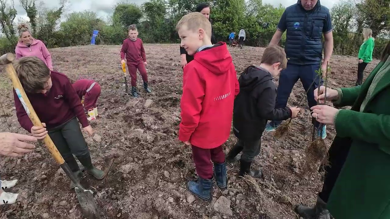 Planting a mini-forest at the Kennedy Farm, Mount Uniacke, County Cork.