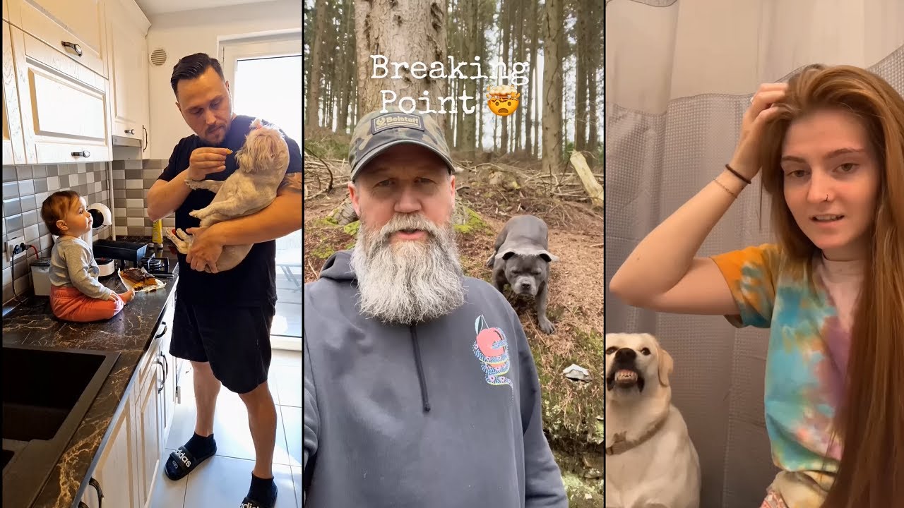 My dog starts laughing after watching this