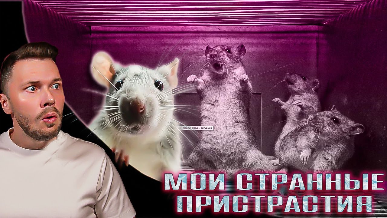 Крысы  ► Мои странные пристрастия Сезон 02/1