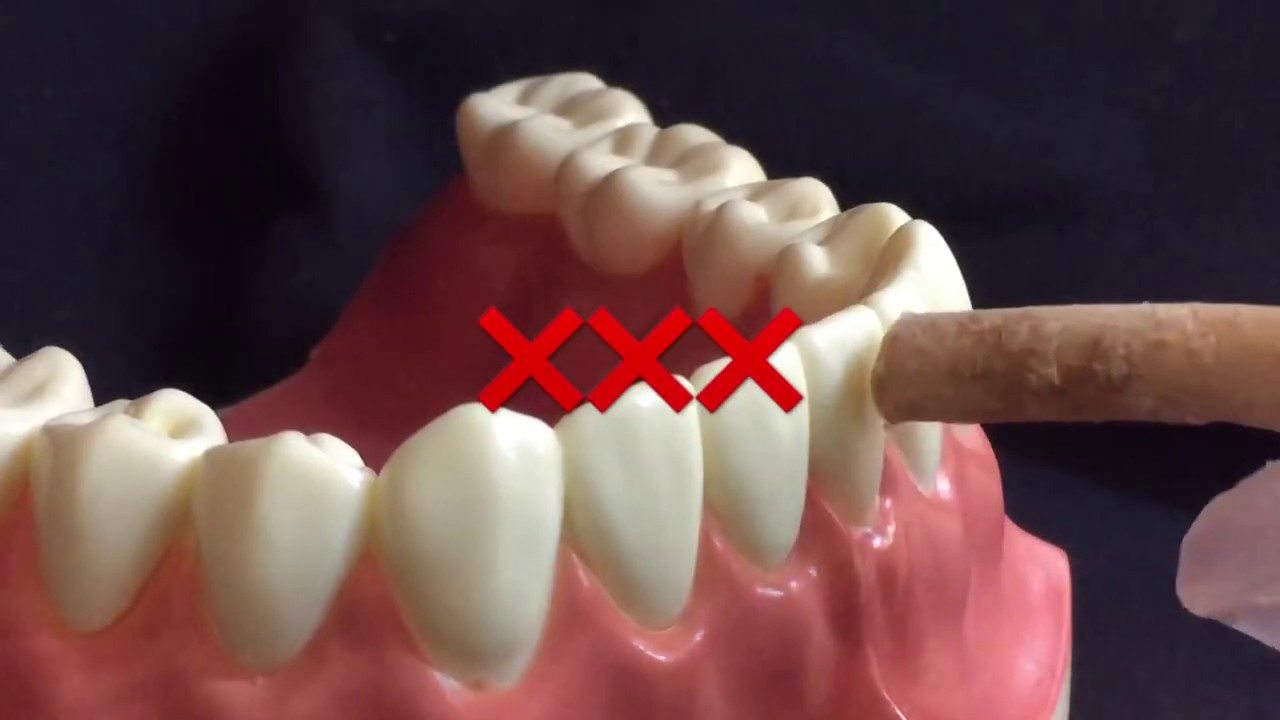 طريقـة التنظـيف بــ المسواك Miswak use#