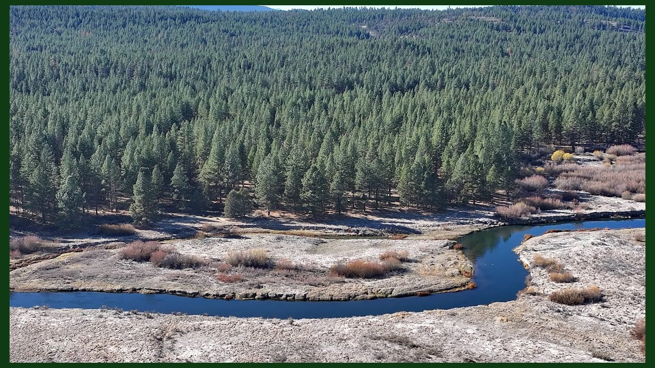Oregon Land For Sale! 1.19 Acres 25K! Pine Trees, Walk to the River! Bordered by USFS Public Land!