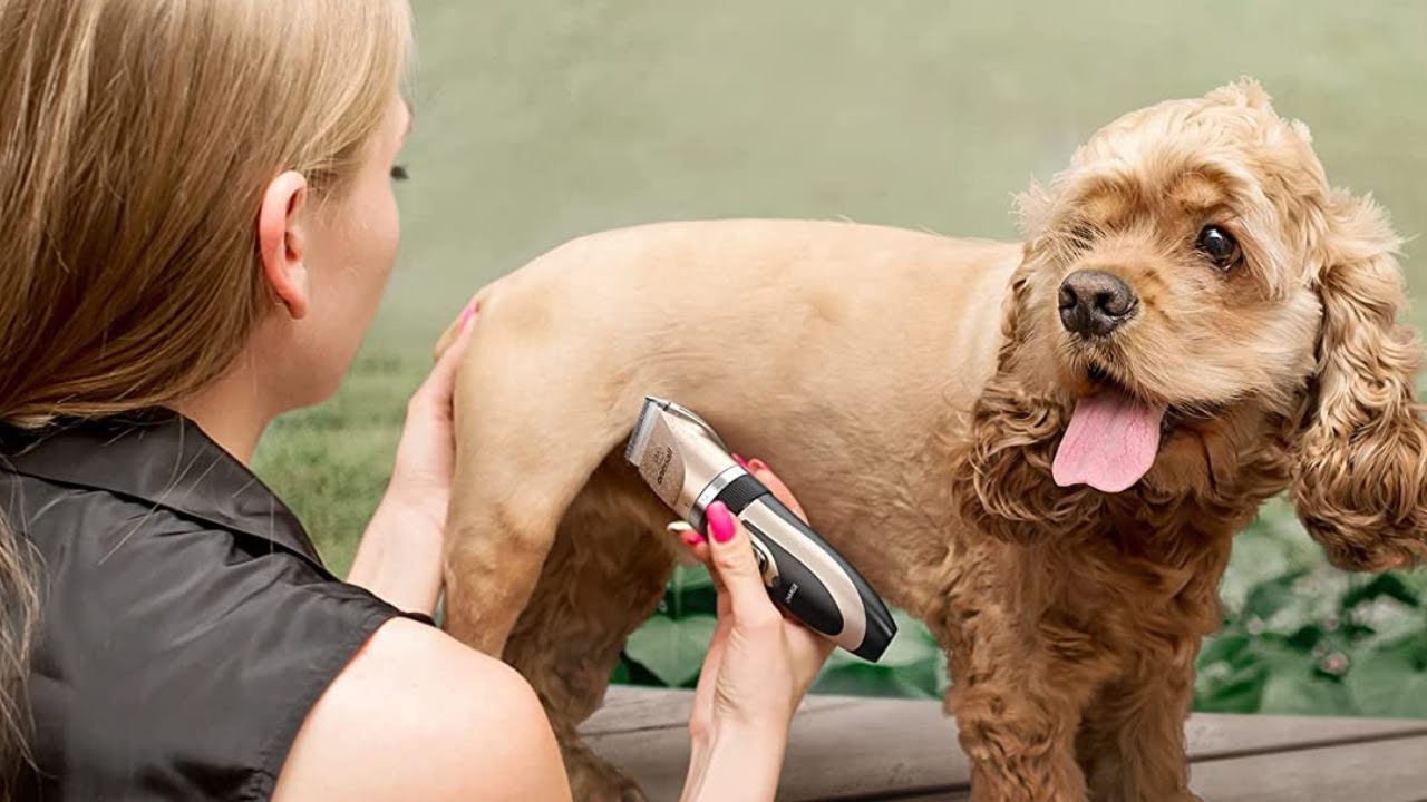Oneisall Dog Shaver Clippers Low Noise Rechargeable Cordless Electric Quiet Hair Clippers Set