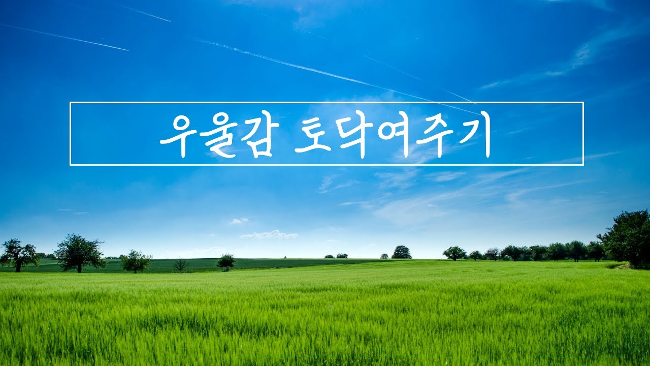 우울감 토닥여주기