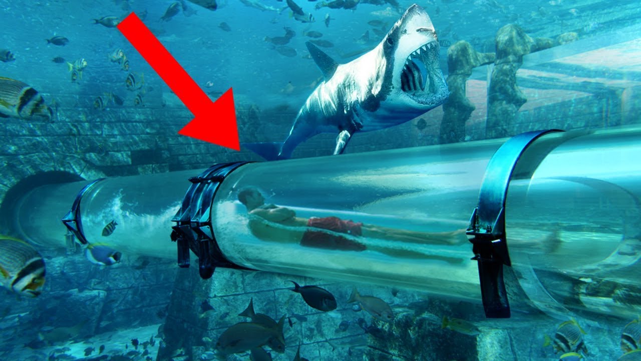 Most THRILLING Waterslides In The World!