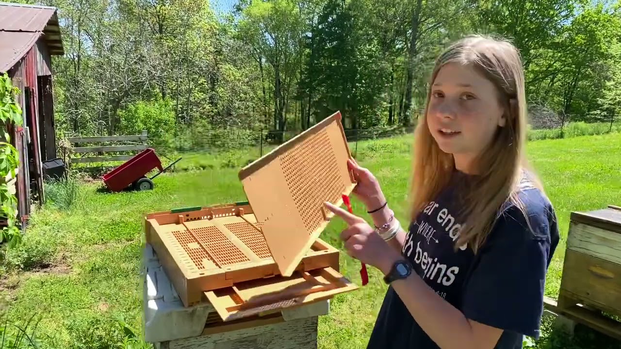 Pollen Trapping with Apimaye Bottom Boards🐝