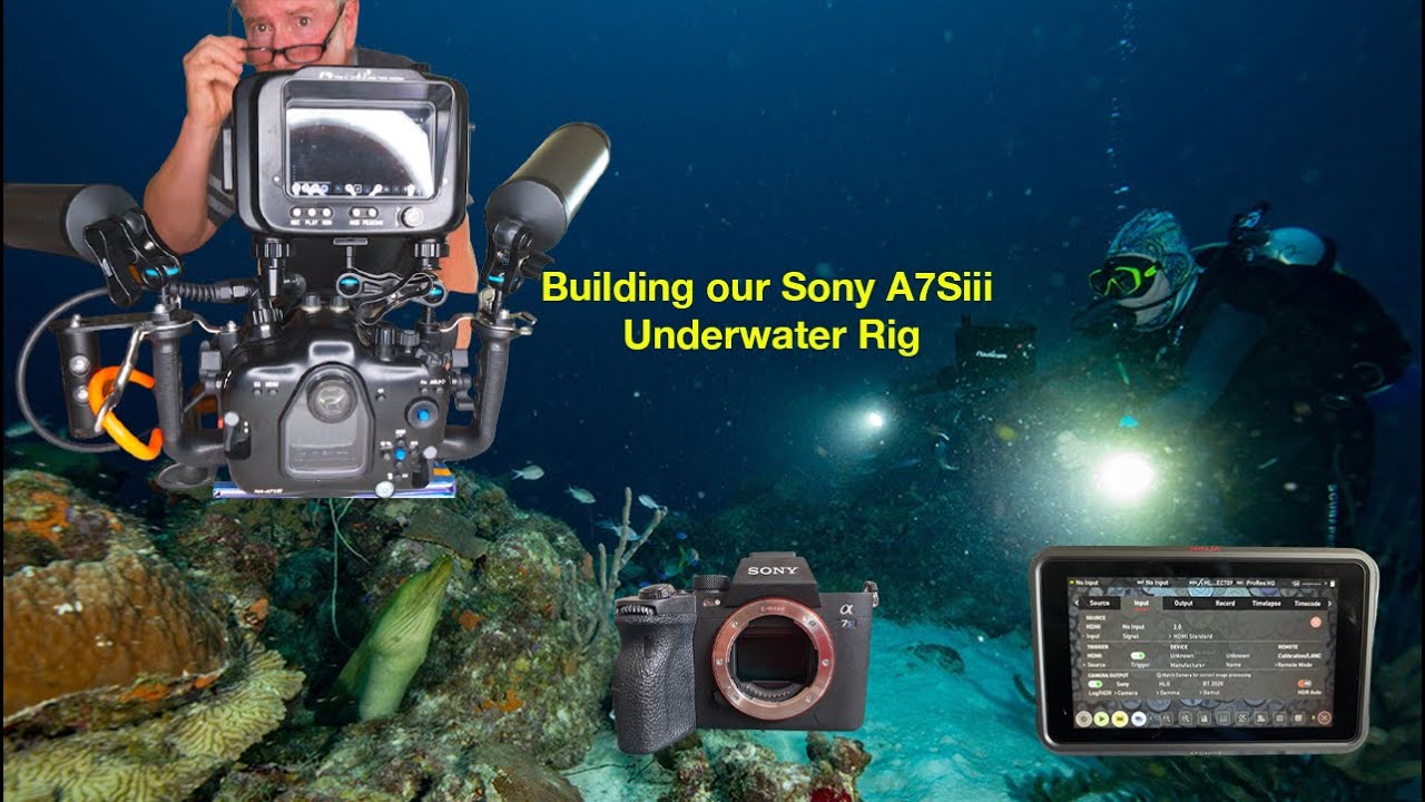 Building Our Sony A7Siii Underwater Rig | A Diver's Life