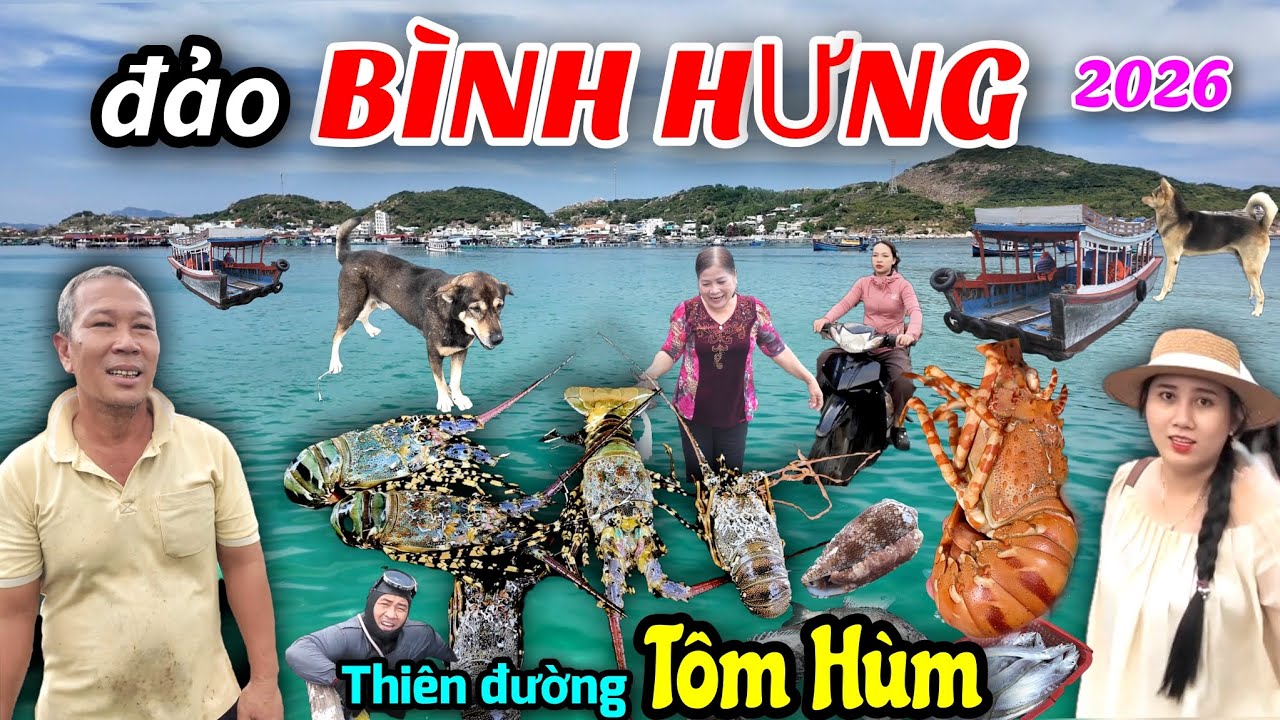 Khám phá đảo Bình Hưng 2026 - Nghề nuôi tôm hùm và du lịch phát triển mạnh.