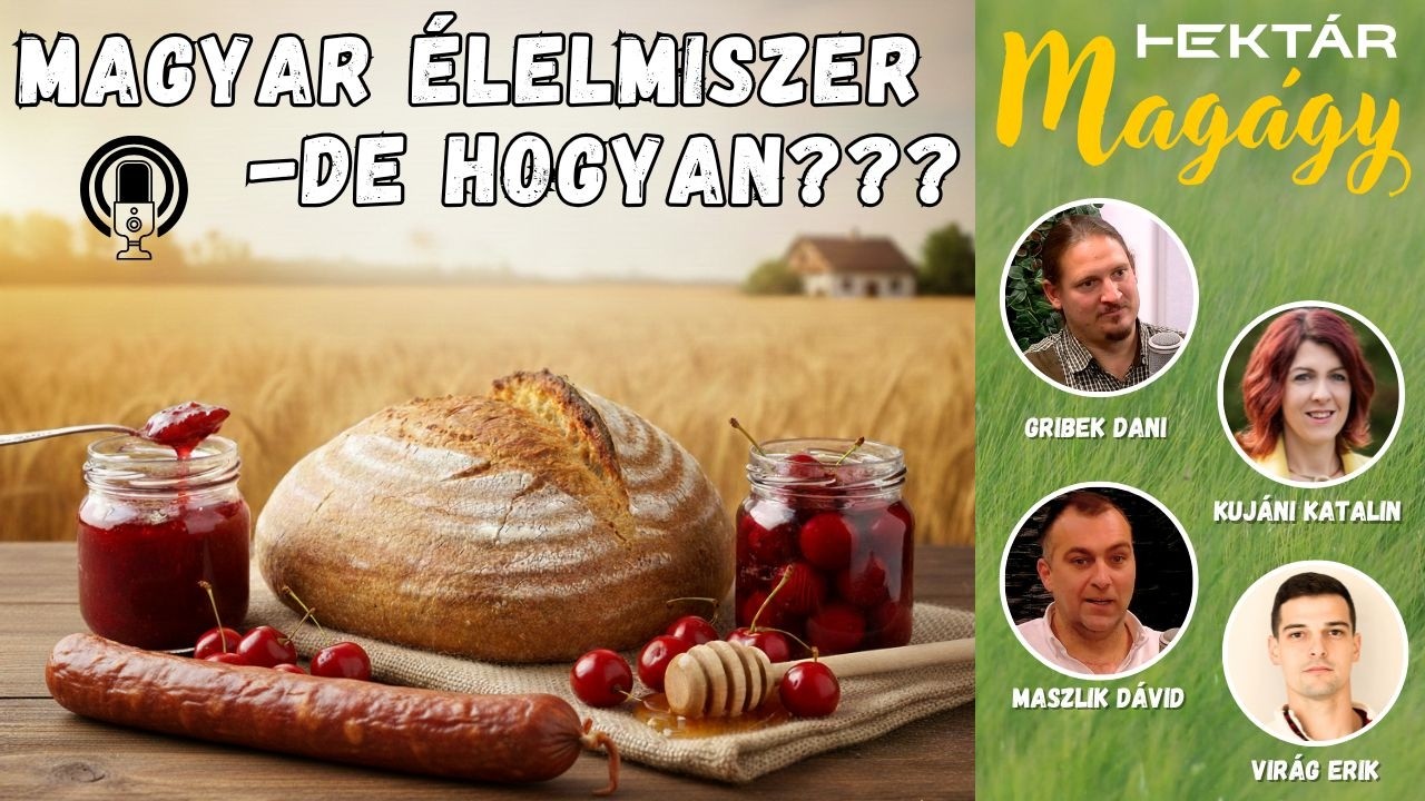 A helyi, magyar termék a kitörés? 🇭🇺 De hogyan? - Termelői tapasztalatok az indulástól a buktatókig