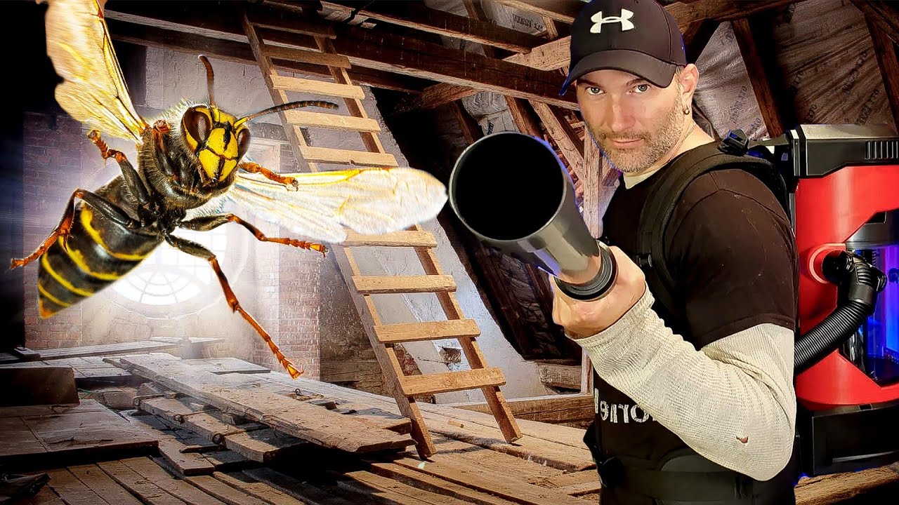 🚨Massive Wasp SUPERNEST In Attic!!🚨Swarmed And STUNG!