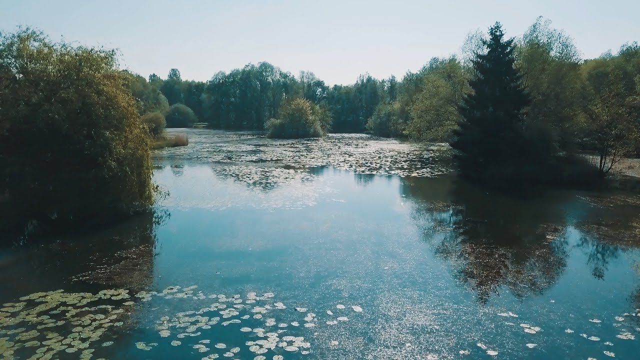Monsieur Lees Water Lily Lakes Walk Around