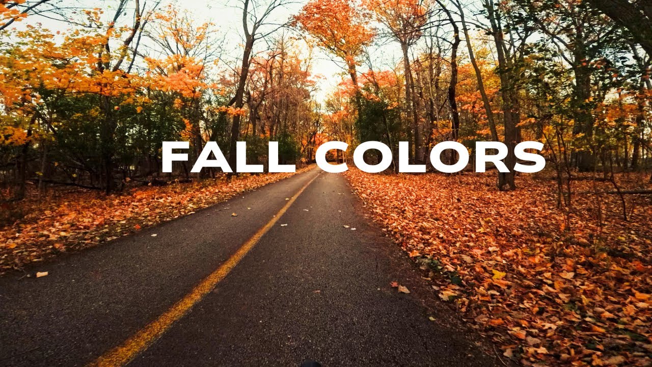 Final Fall Ride In Chicago