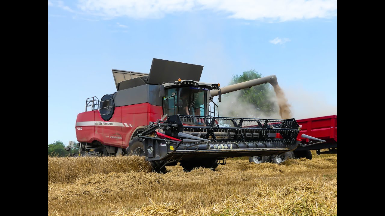 Harvest / Moisson - 2016 - NEW Massey ferguson Centora 7380 - Sarl PRAUD DT