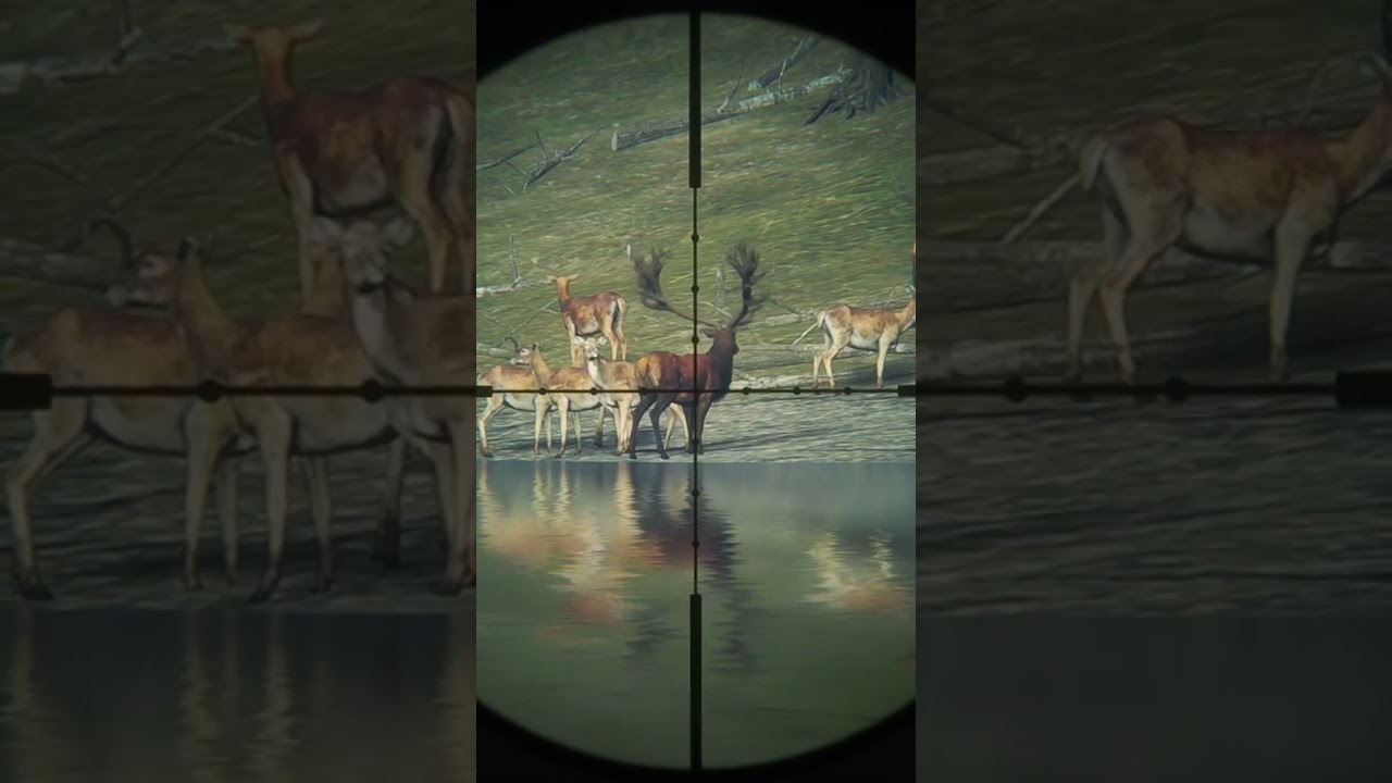 Got my 1st Diamond | The Hunter: Call of The WILD 🦌