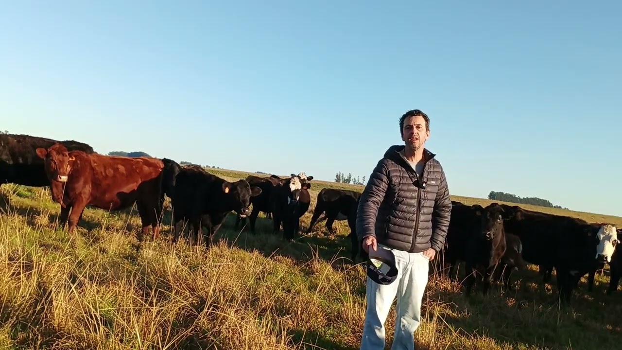 Pastos fuera de época