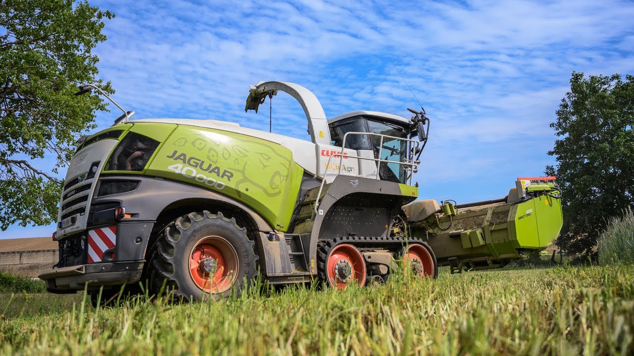 CLAAS JAGUAR 40000 TERRA TRAC 🚜🌿 ENSILAGE DE CÉRÉALES IMMATURES