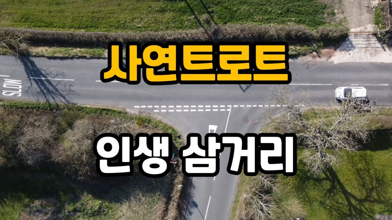 인생삼거리 (사연트로트)