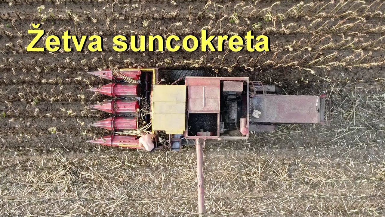 Žetva suncokreta , vršaj suncokreta Zmaj 142