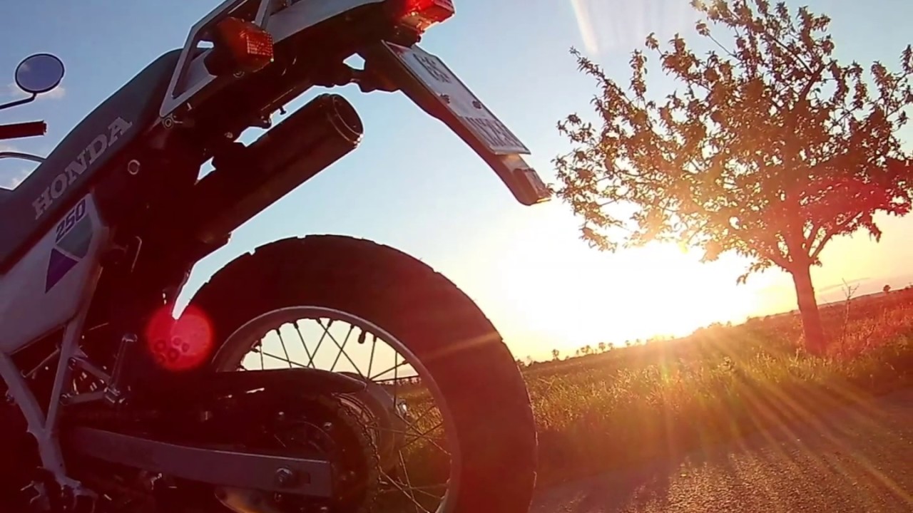 Honda NX 250 Dominator - Teil 2 - 30 Jahre später: die 