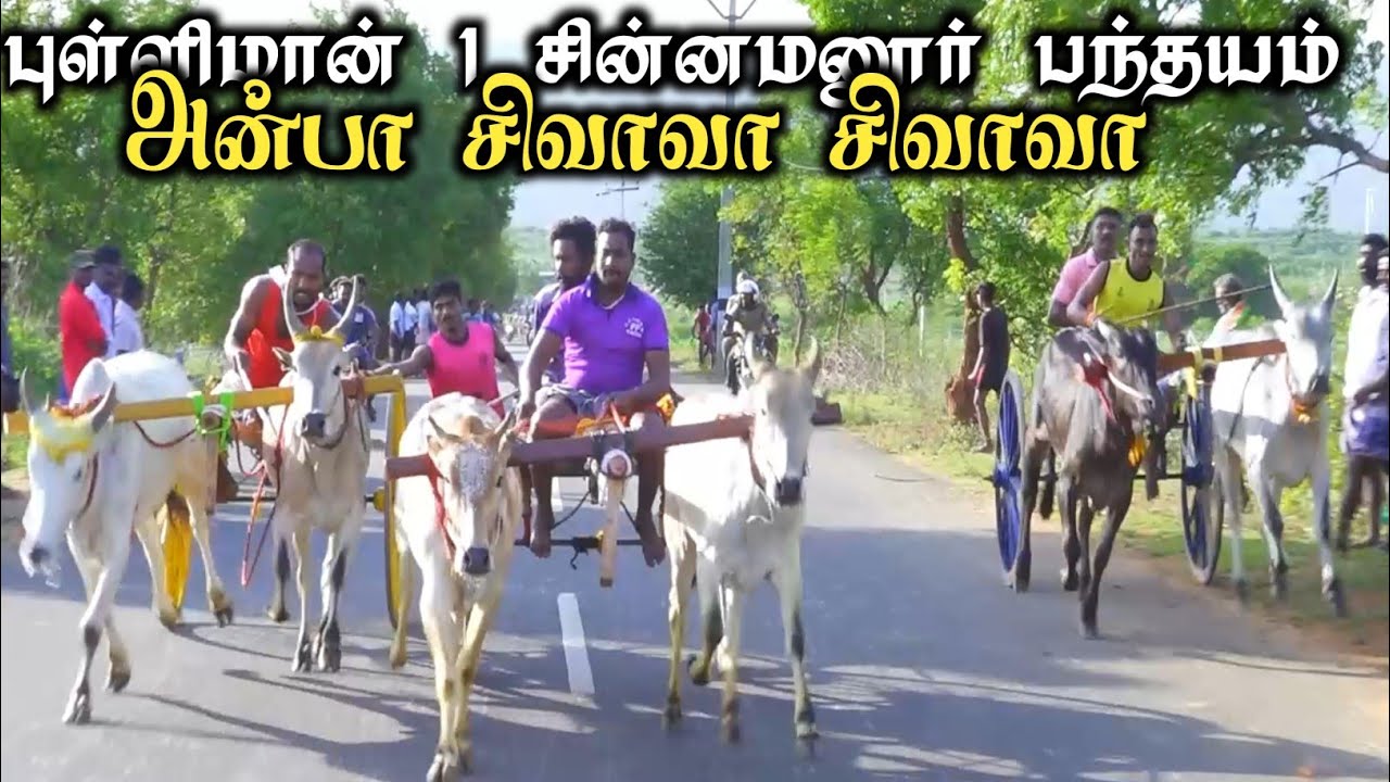 புள்ளிமான் 1-பந்தயம் -30.07.2025-சின்னமனூர் - | Express Galaxy HD | Reklarace2025