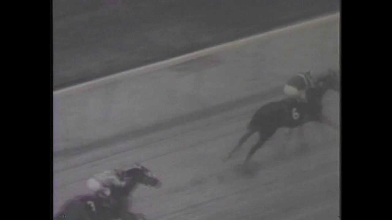TINAJERO - Jerome Handicap 1971