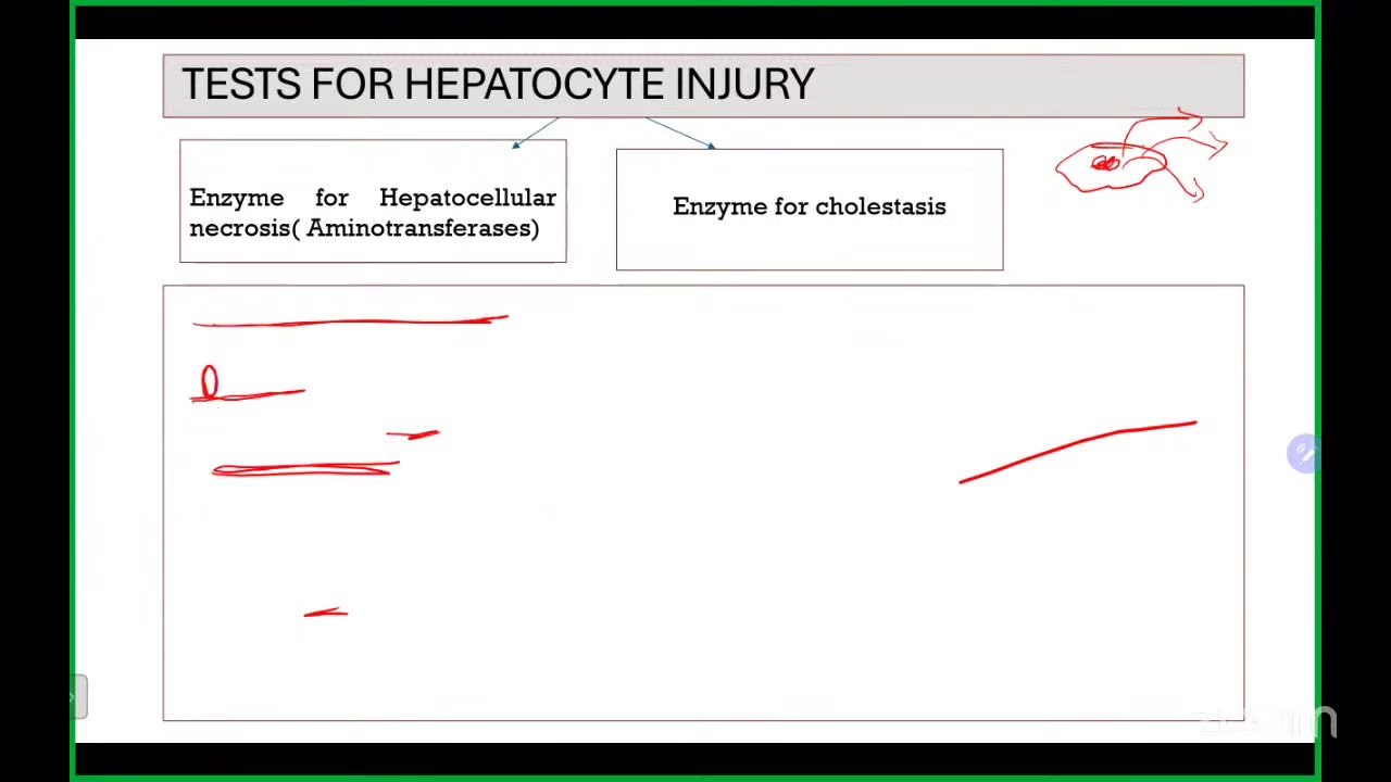 Liver Function Test in Children
