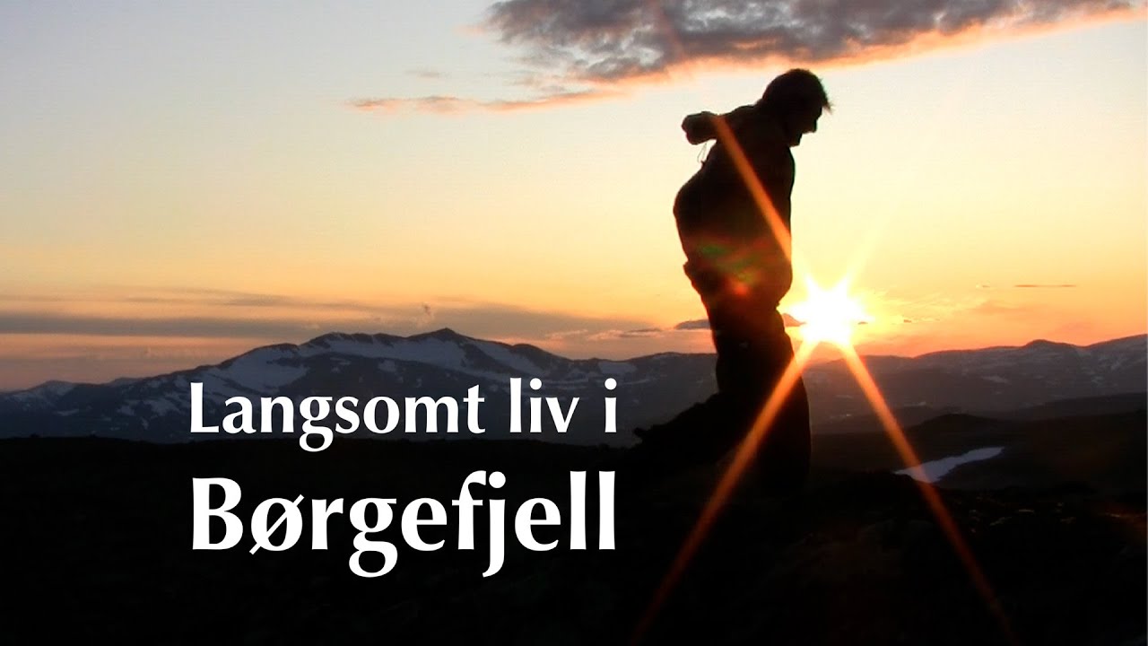 Langsomt liv i Børgefjell
