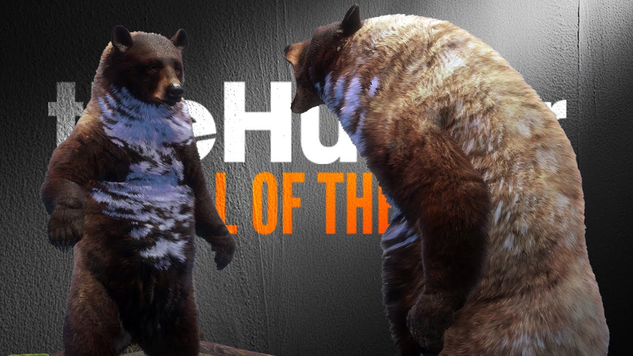 Er hat 20.000 Schüsse und das ist das Ergebnis! 😳 | theHunter Call of the Wild