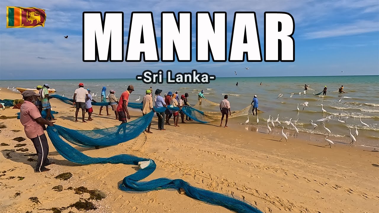 Mannar Island in Sri Lanka - Cinematic Travel Film ( Cinematic Travel Vol - 09 )