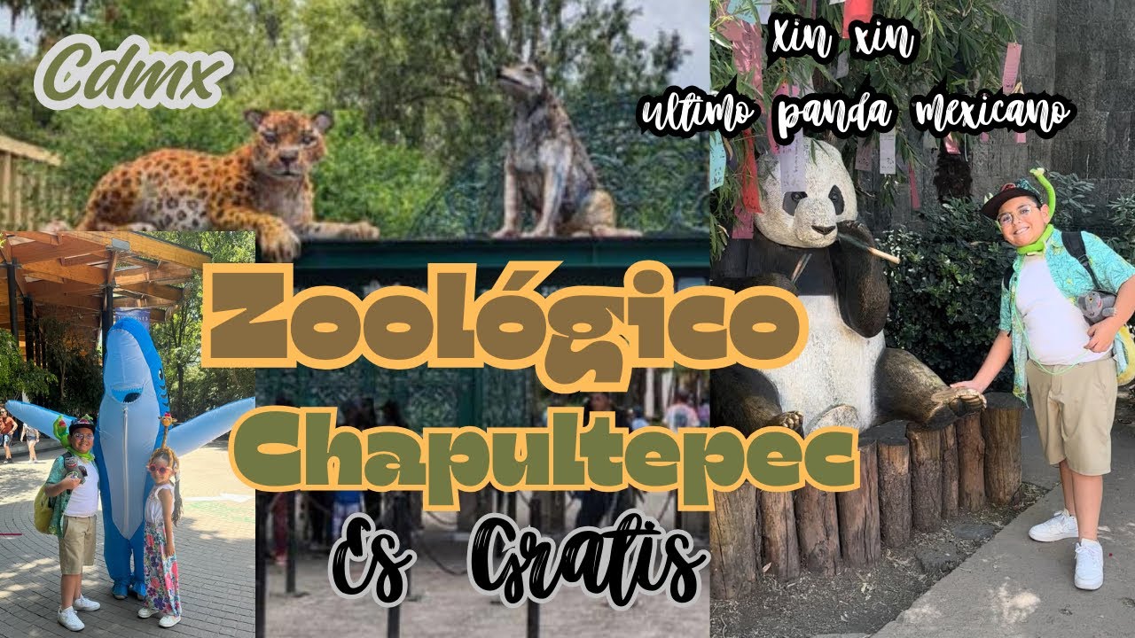 🦁ZOOLÓGICO DE CHAPULTEPEC CDMX 2026 //VALE LA PENA?🤔#parati #viral #funny#2026