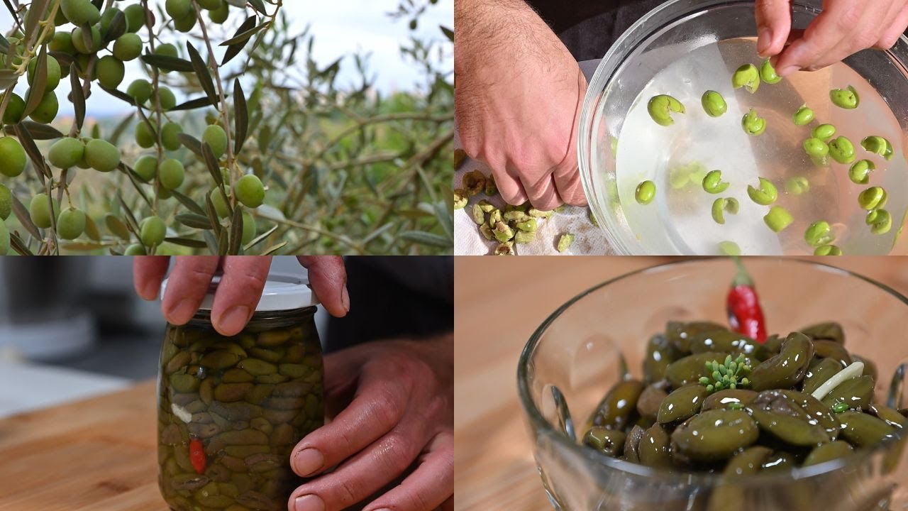 OLIVE