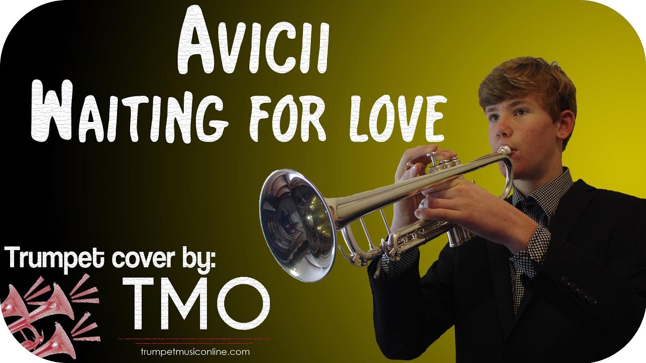 Avicii - Waiting for love (TMO Cover)