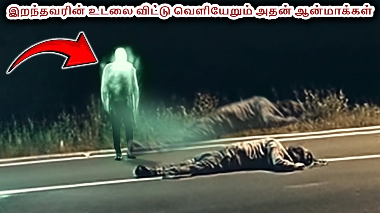 ஆவிகள் இருப்பது உண்மைதான் | Real life ghost caught on camera tamil | VIKKY PICTURES