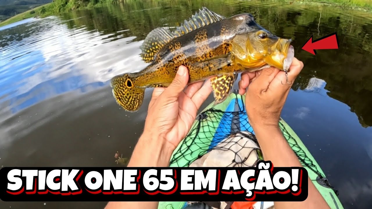 AÇÃO NA SUPERFÍCIE COM A STICK ONE 65/ DICA DE ISCA MATADEIRA