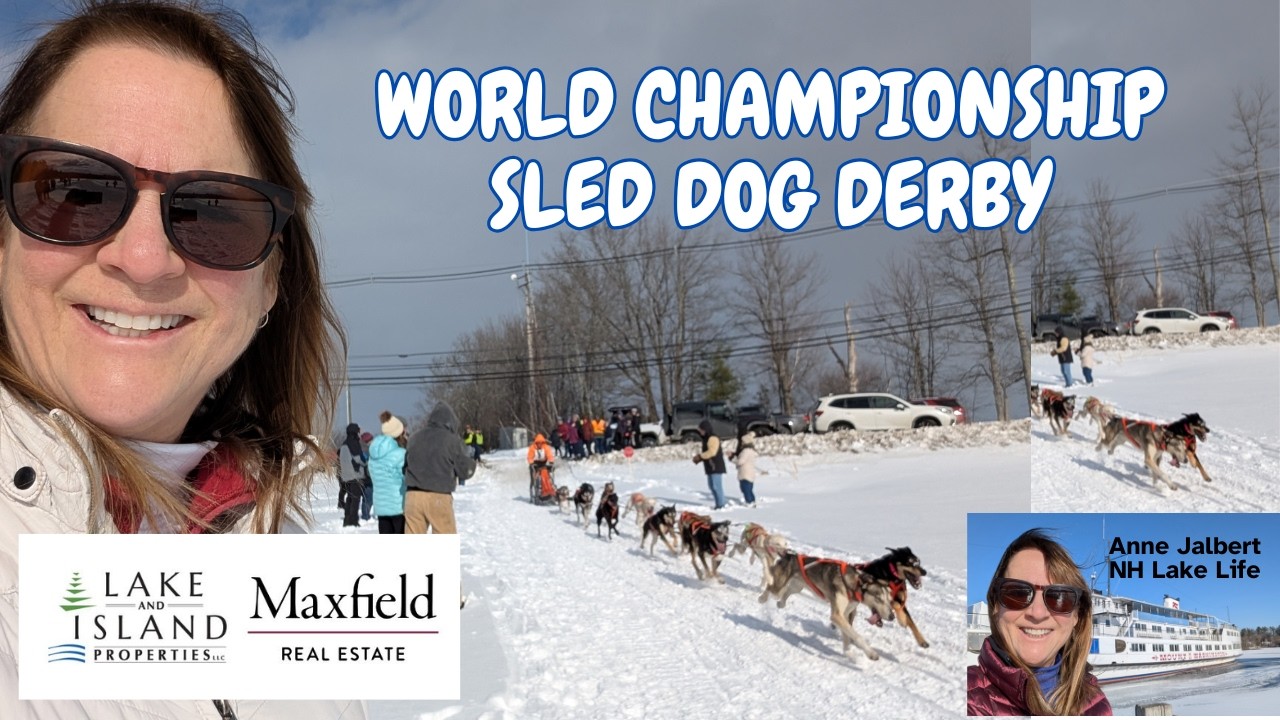 What is a sled dog race?  Check out the 97th Championship Sled Dog Derby in Laconia NH