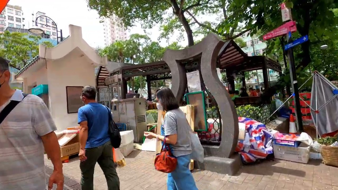 東鐵線大埔墟站 往 火車博物館Tai Po Market Station To HK Railway Museum POV 4k