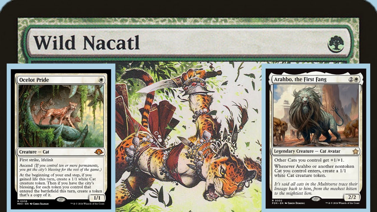 Naya Cats | Timeless