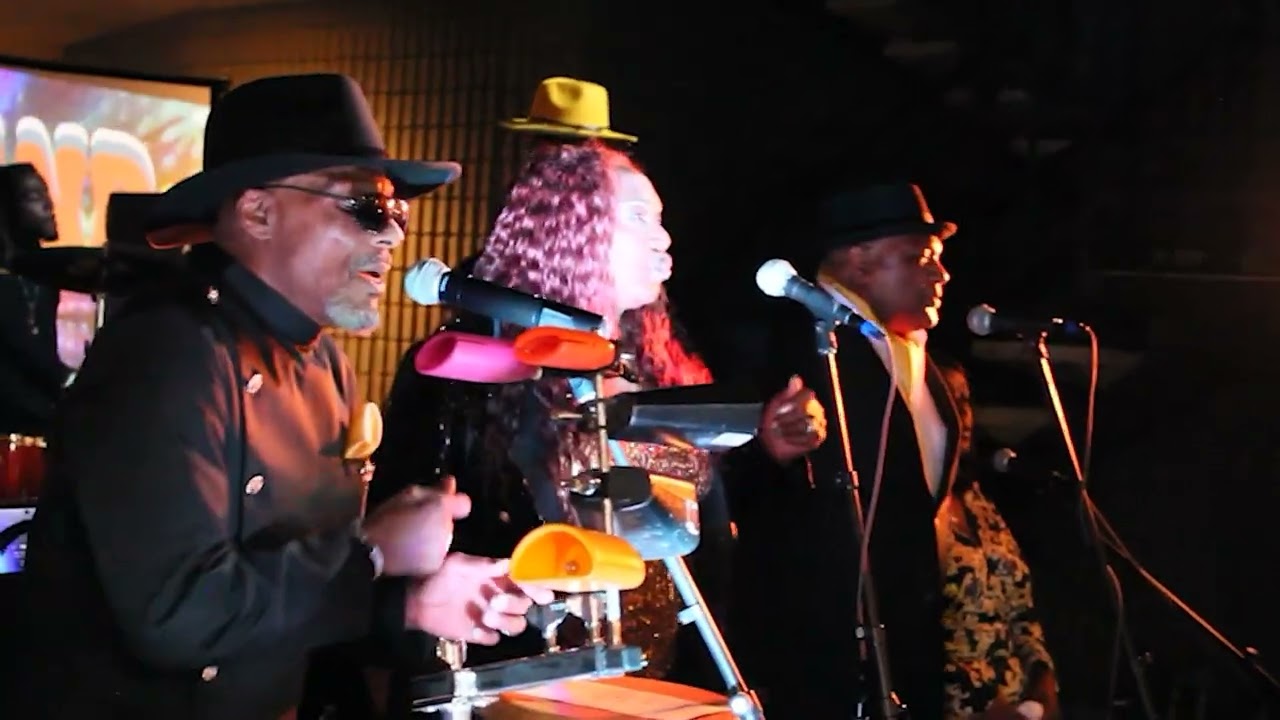 MDP BAND LIVE
