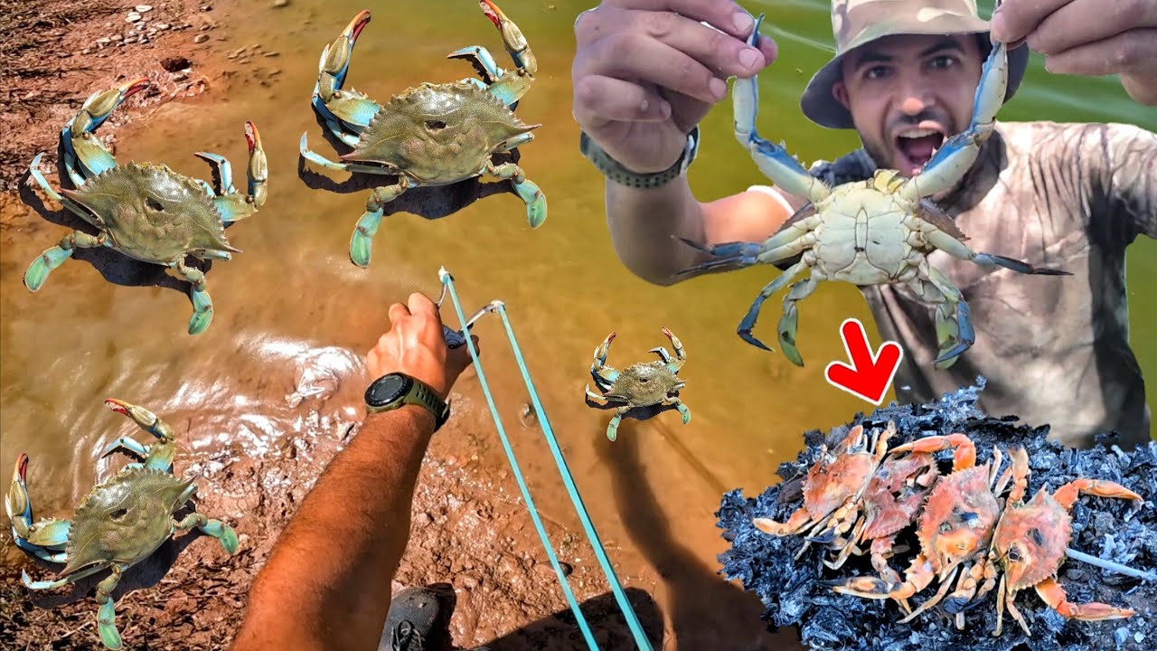 صيد السلطعون العملاق 🦀 في مستنقعات واد سوس العظيم 😱🇲🇦🔥