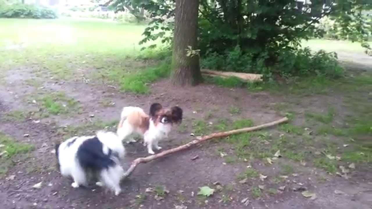 Charlotte aan de wandel