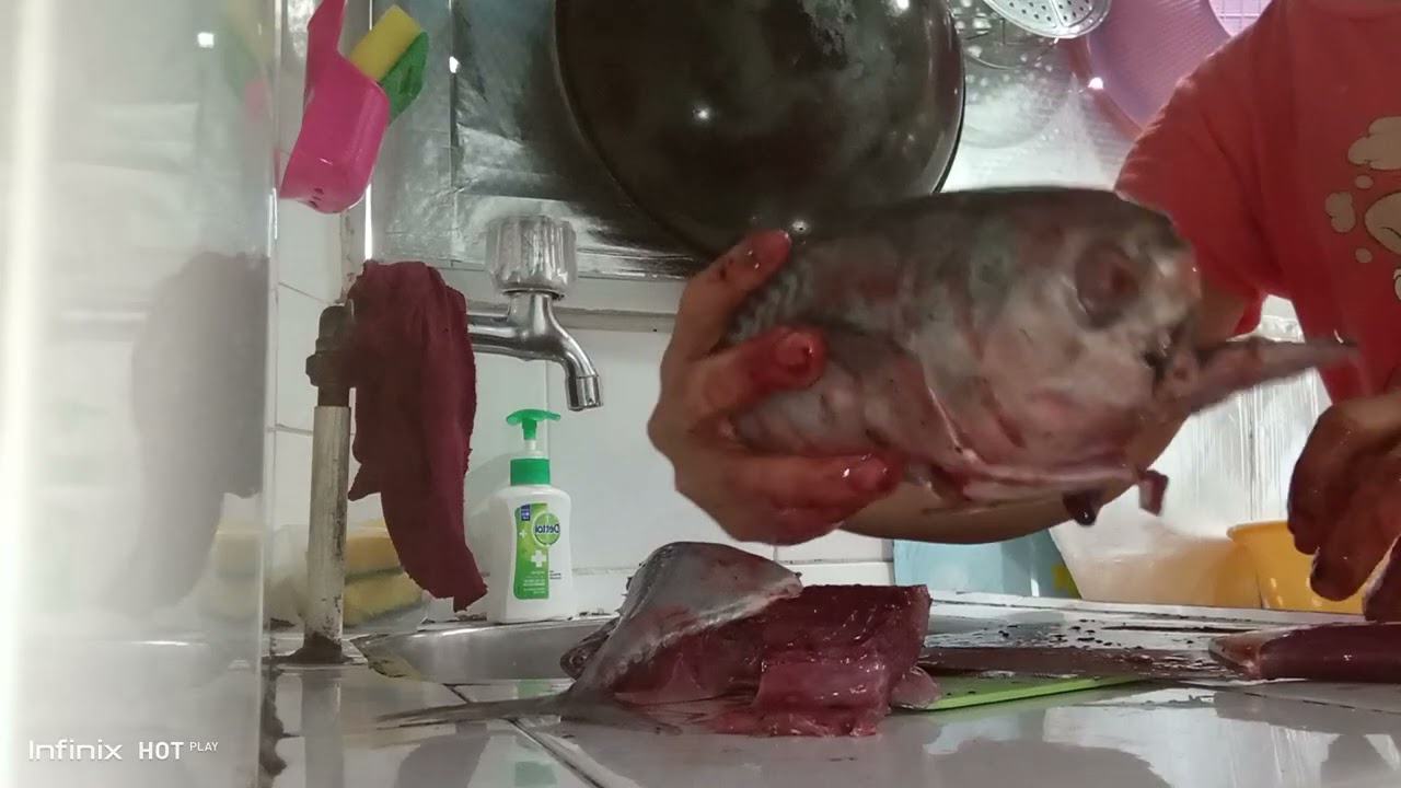 TUNA FISH @hongkong#hongkong#tuna#fish#viral#fypシ゚viral#shortvideo#trendingshorts#food #shortsviral