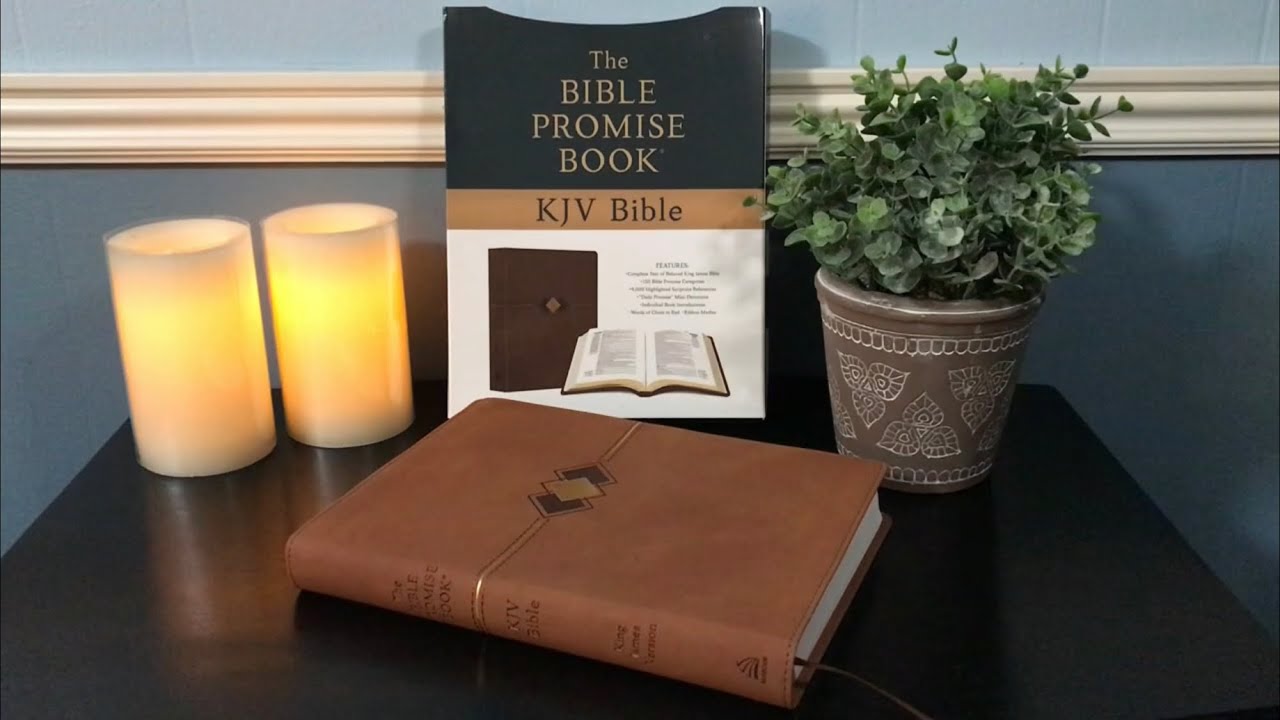 The Bible Promise Book - KJV Bible Review