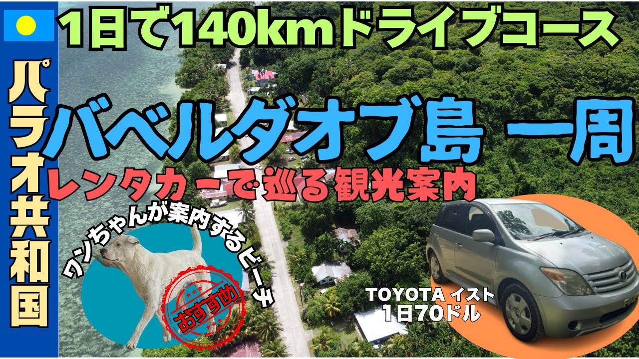 【パラオ共和国🇵🇼バベルダオブ島】レンタカーで島一周ドライブ　可愛いワンちゃんが案内するおすすめビーチ　島のグルメもあり！