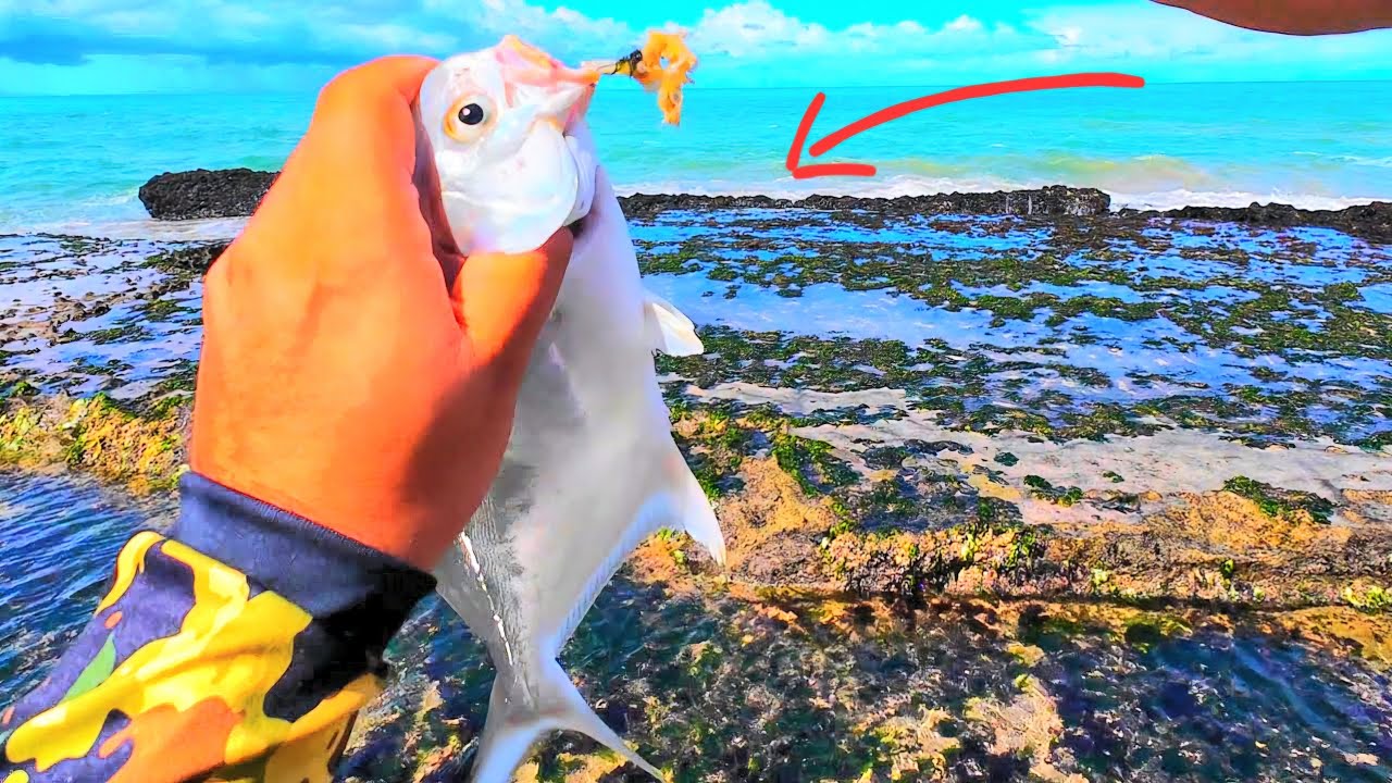 Pescaria rápida na praia do Buraco da velha em Brasília teimosa